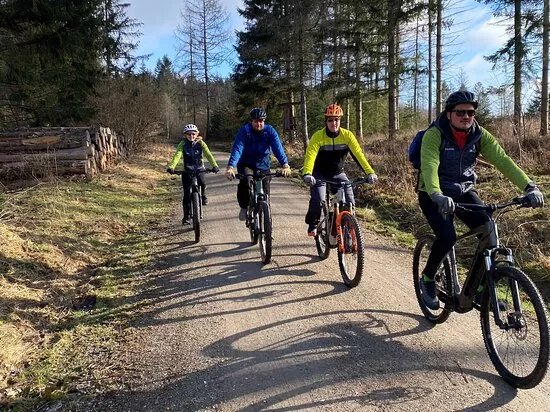 Harzer E-Bike