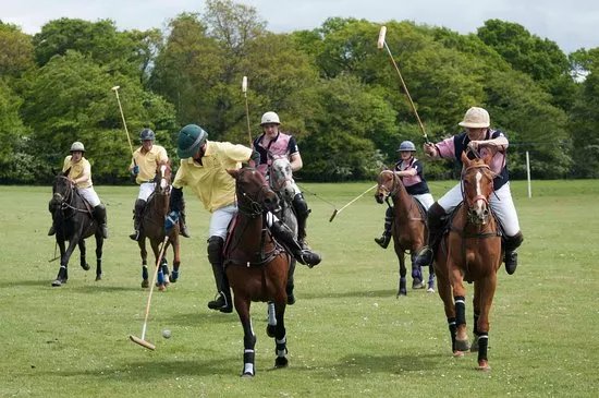 Edinburgh Polo Club