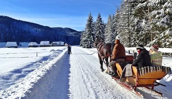 Sleigh Ride in the Tatra National Park
