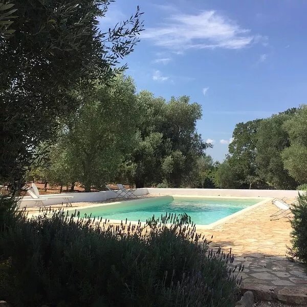 TRULLO CINCIARELLA, 10x5mt. SALT WATER POOL, 2 acres olive trees, STARLINK wifi