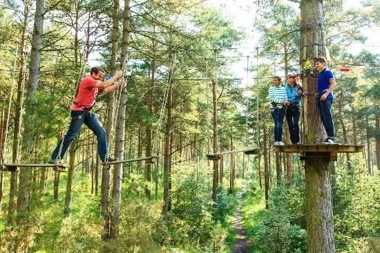 Go Ape Delamere