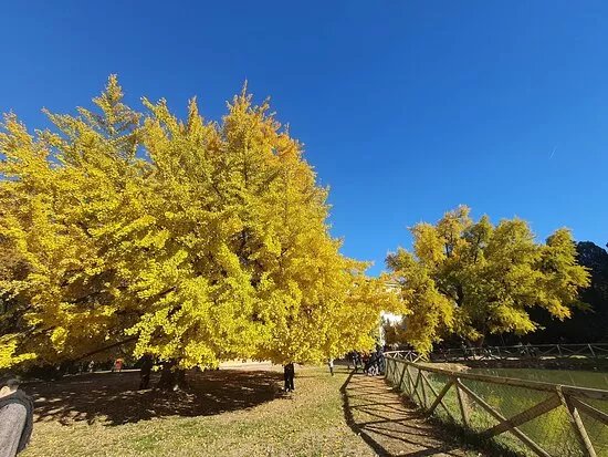 Parco della Resistenza