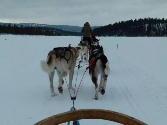 Wild Spirit Park