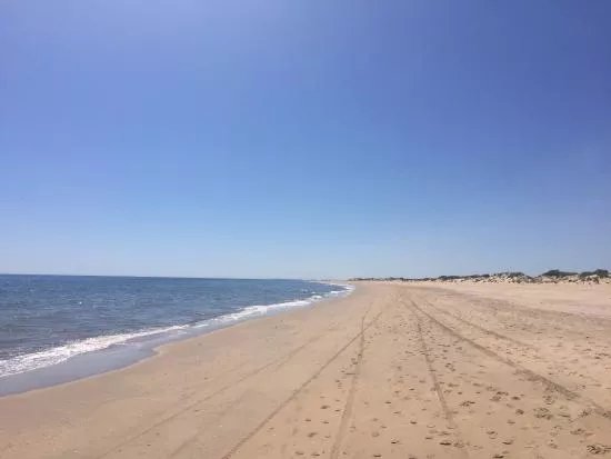 Playa Nueva Umbria