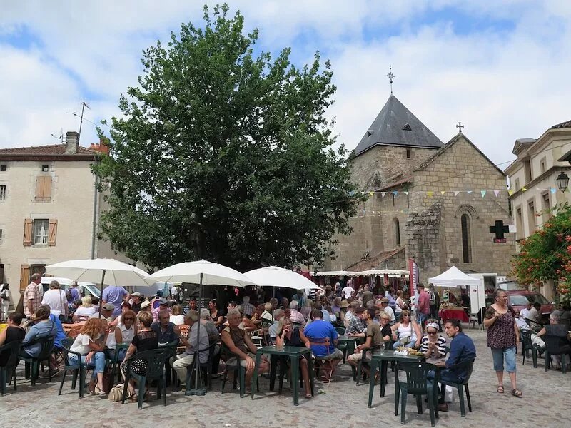 Holiday Cottage with Scandinavian Hot Tub located in Bussiere Poitevine