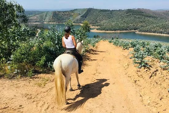 Quinta Lusitania Riding School