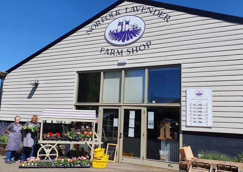Norfolk Lavender Farm Shop