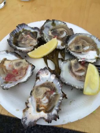 Galway International Oyster & Seafood Festival