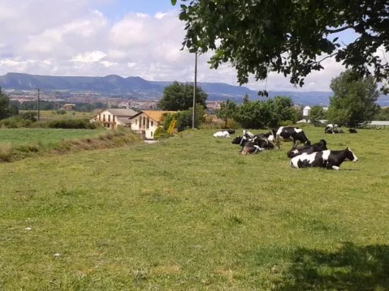Granja Cal Rei
