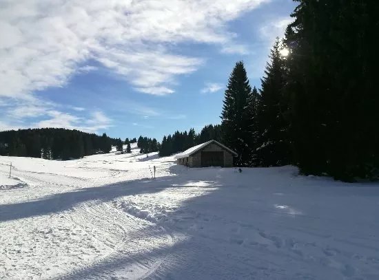 Scuola Sleddog Federale Nazionale