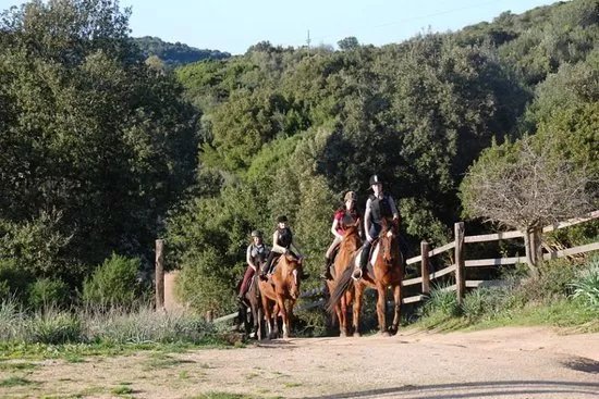 Centro Equestre La Prugnola