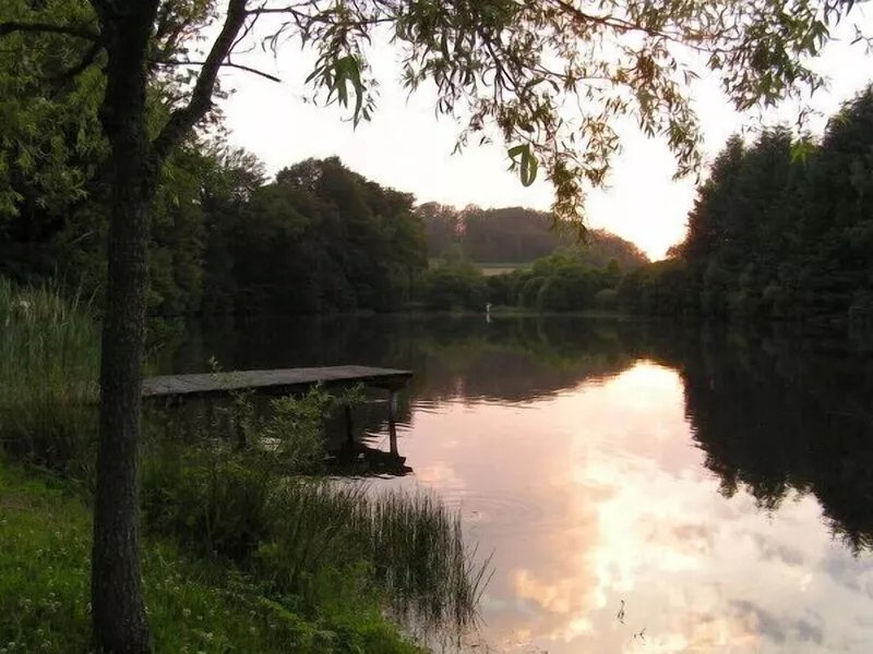 Cottage couple + children on 43 hectare estate with a fish pond of 3 ha