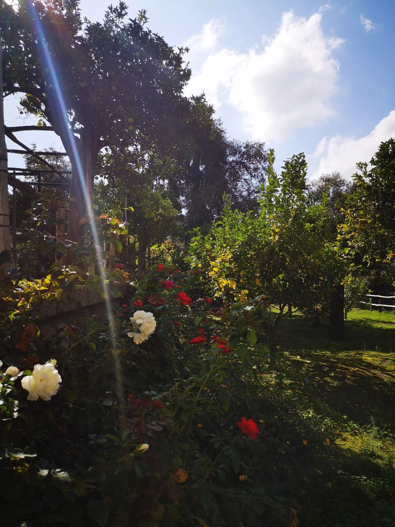 My Place Home & Garden