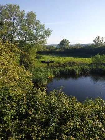 Rhuddlan Nature Reserve