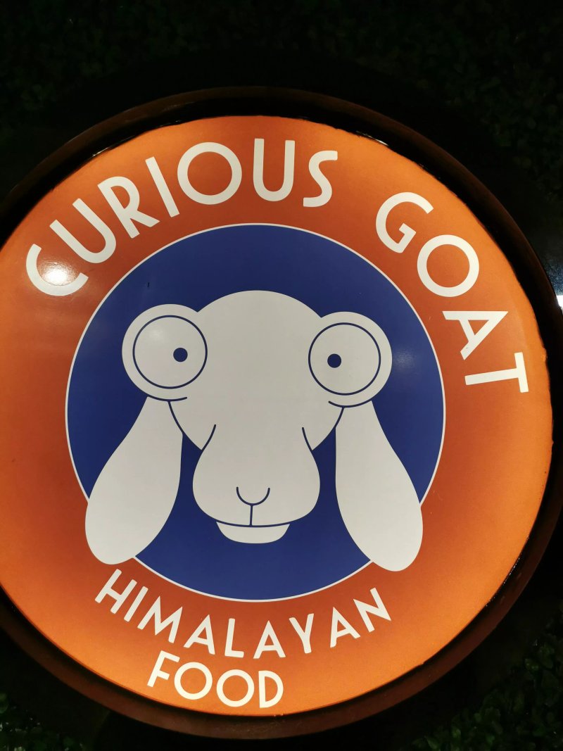 Curious Goat