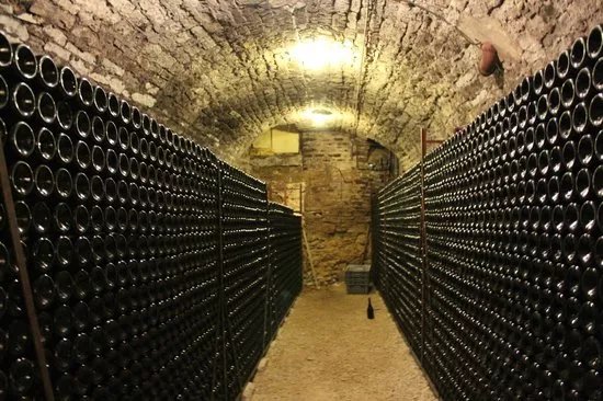 Philippe Leclerc Wine Cellar