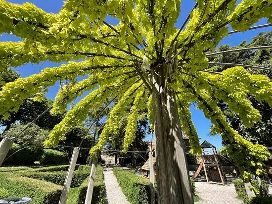Giardino Pubblico Della Fortezza