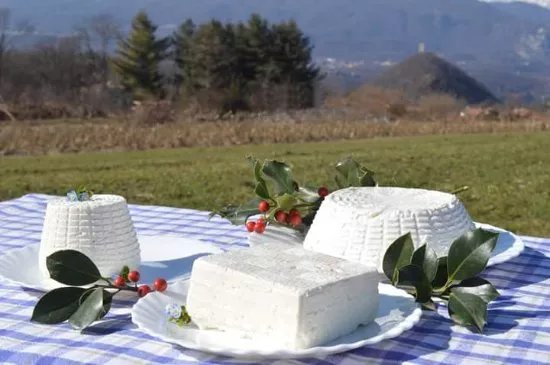 Azienda Agricola L'Agrifoglio