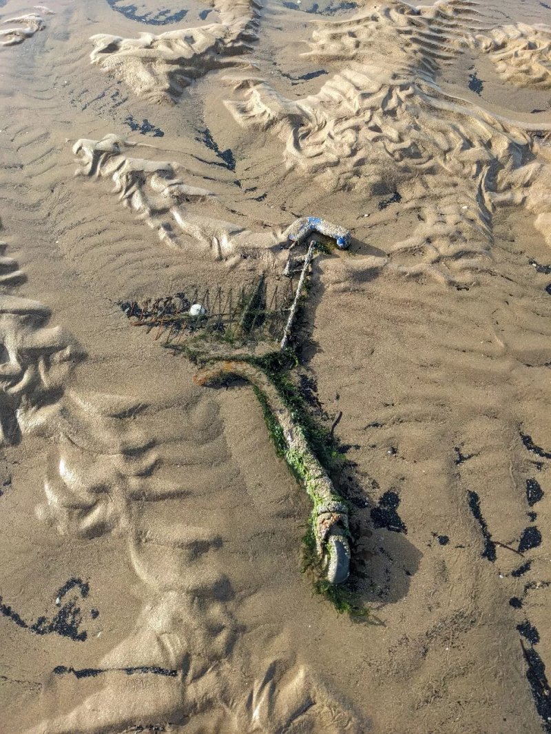The Sunken Trolley