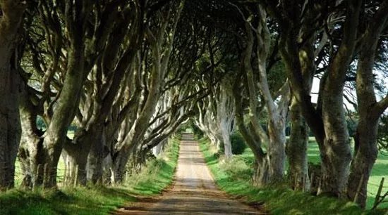 Brit Movie Tours