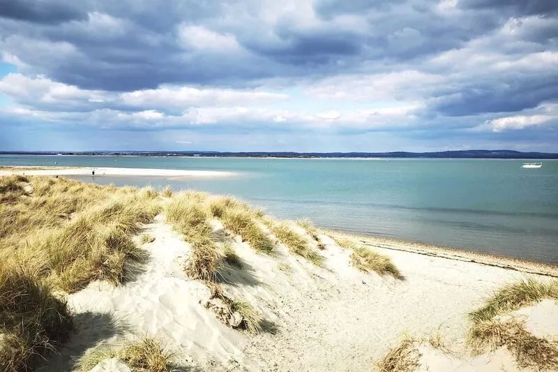 Warblers  detached home in West Wittering