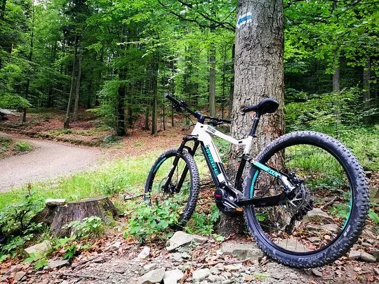 EpicBike - Wypozyczalnia Rowerow Elektrycznych
