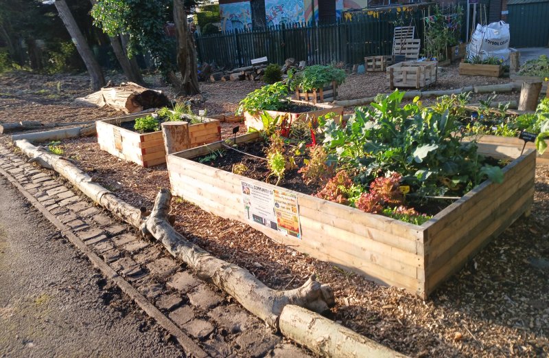 Beckhill Community Garden