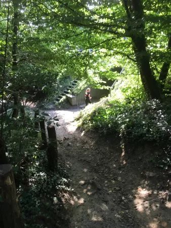 Stadtforst Obernberg Wanderweg