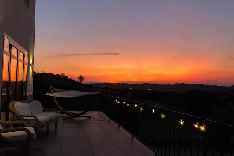 Villa with vineyards, infinity pool, views of  an UNESCO castle and the alps.