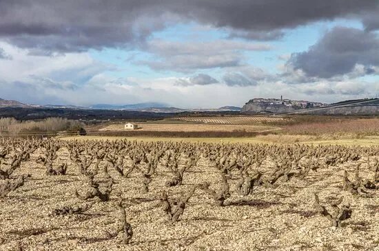 Bodegas Alconde