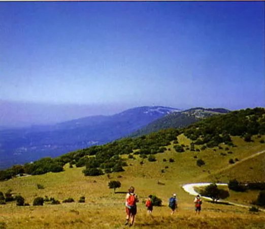 Delphine Mira Private Tours