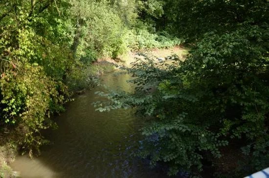 Kartauser Park