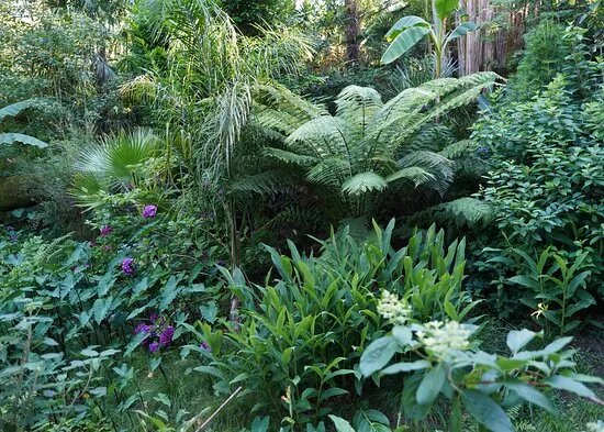 Jardin Des Barthes