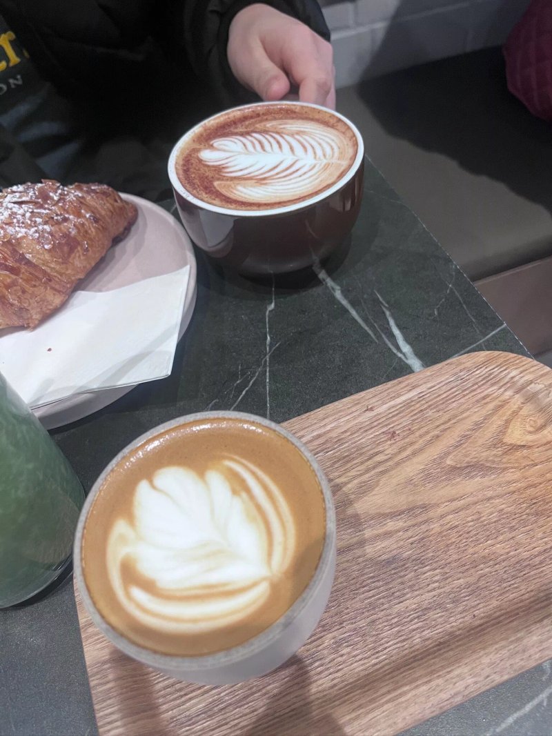 Treelogy Speciality Coffee