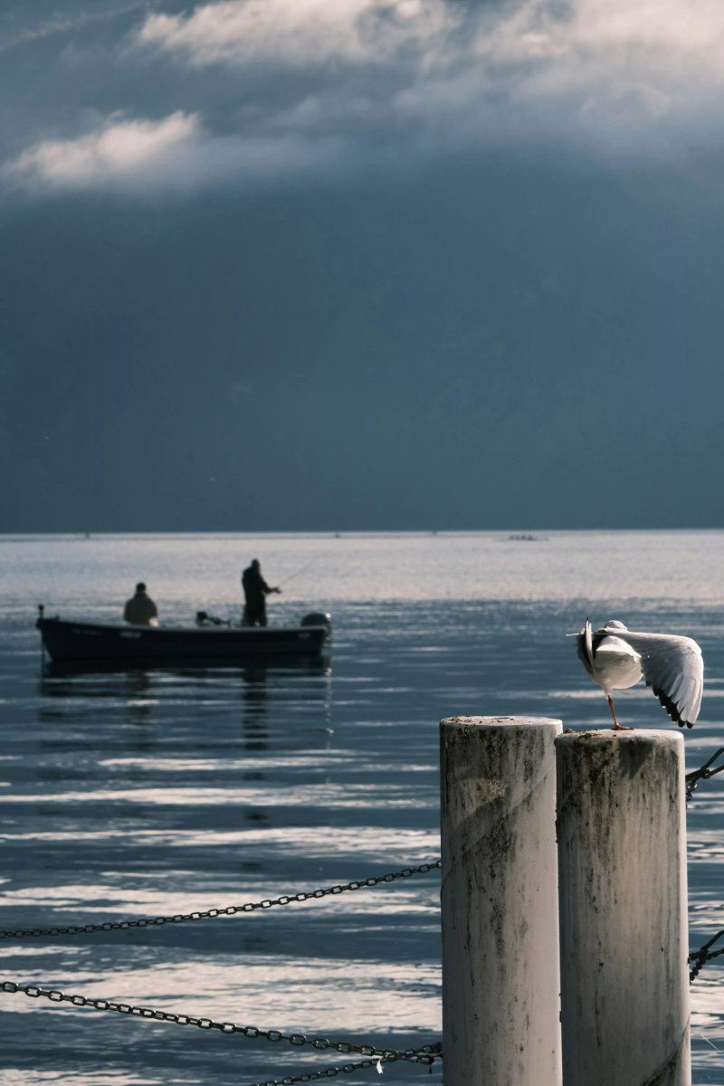 Lisca Swiss Fishing