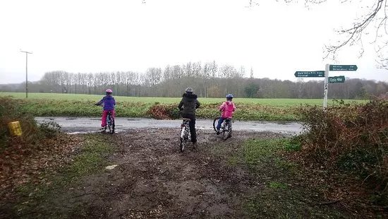 Broadland Cycle Hire