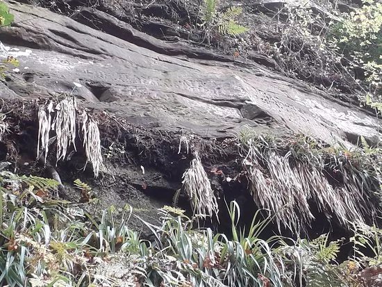 Gelt Woods