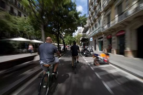 Steel Donkey Bike Tours