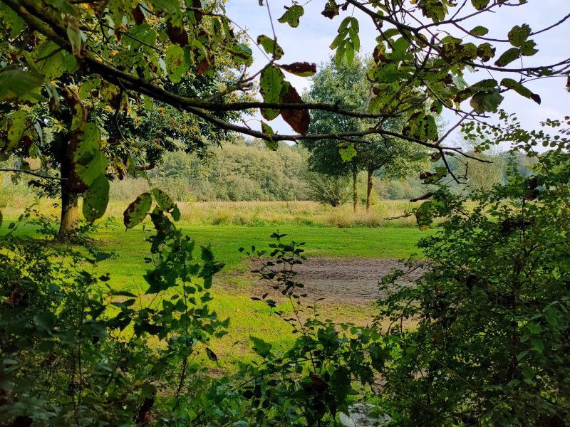 Natuurkampeerterrein T Scharvelt