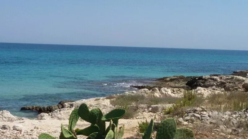 Enjoy the seaview and relax in a fully furnished house; pets welcome!