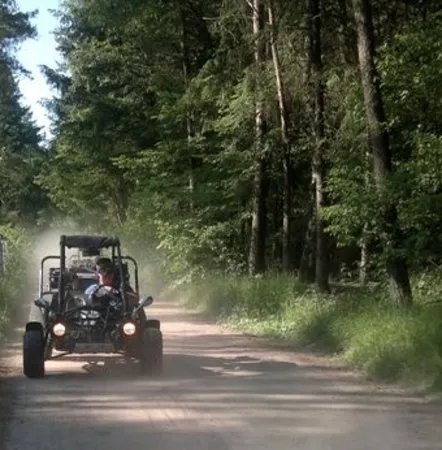 Bugxter Buggy