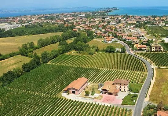 Azienda Agricola Sgreva