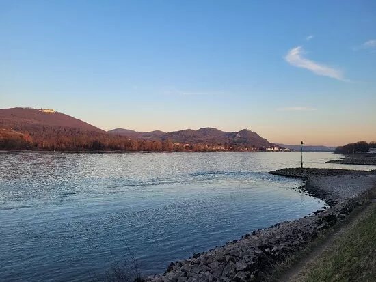Rheinfahre Bad Godesberg