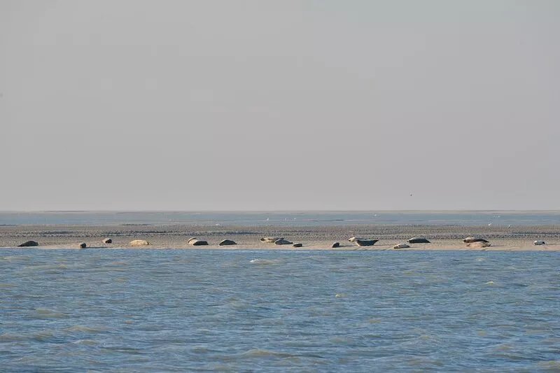 Nice property in bay of sum