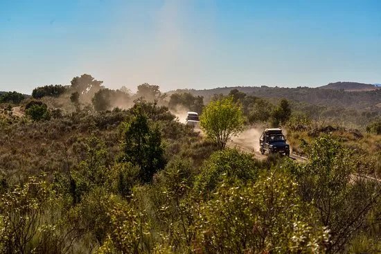 Dream Overland