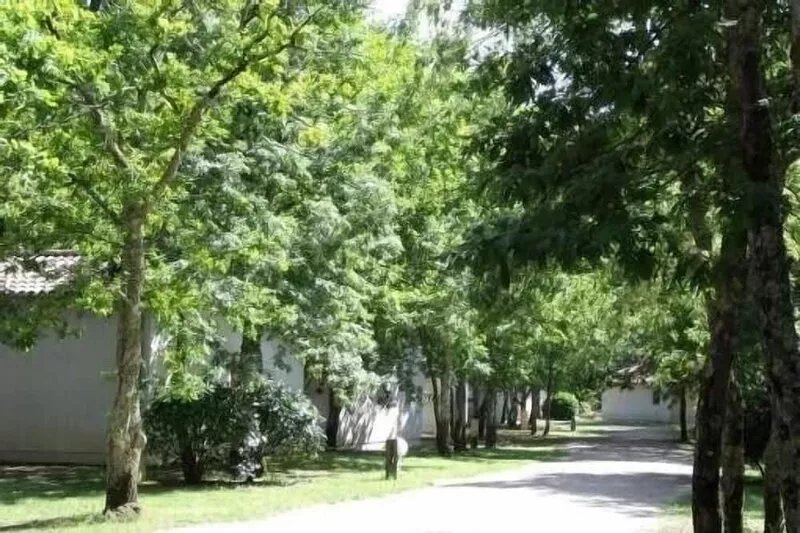 Charming fisherman's cottage with swimming pool 500 m from the beach