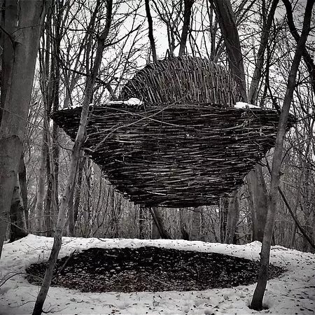 Artinbosco