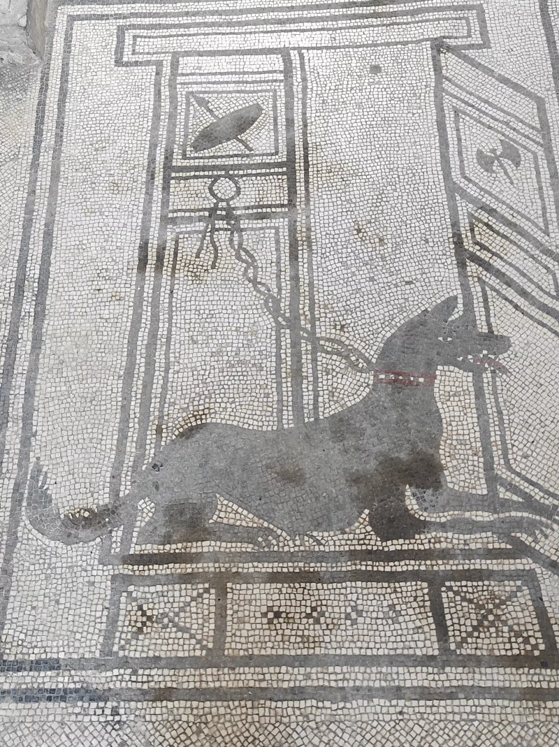 Pompei Il Mosaico "cave Canem"