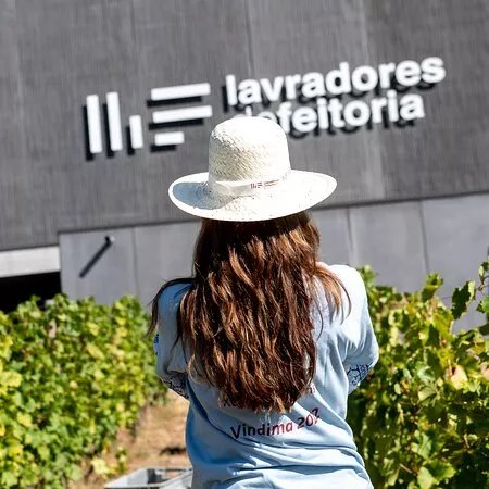 Lavradores De Feitoria