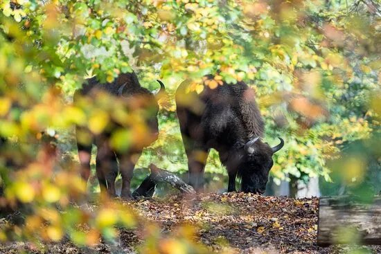 Tierpark Bern